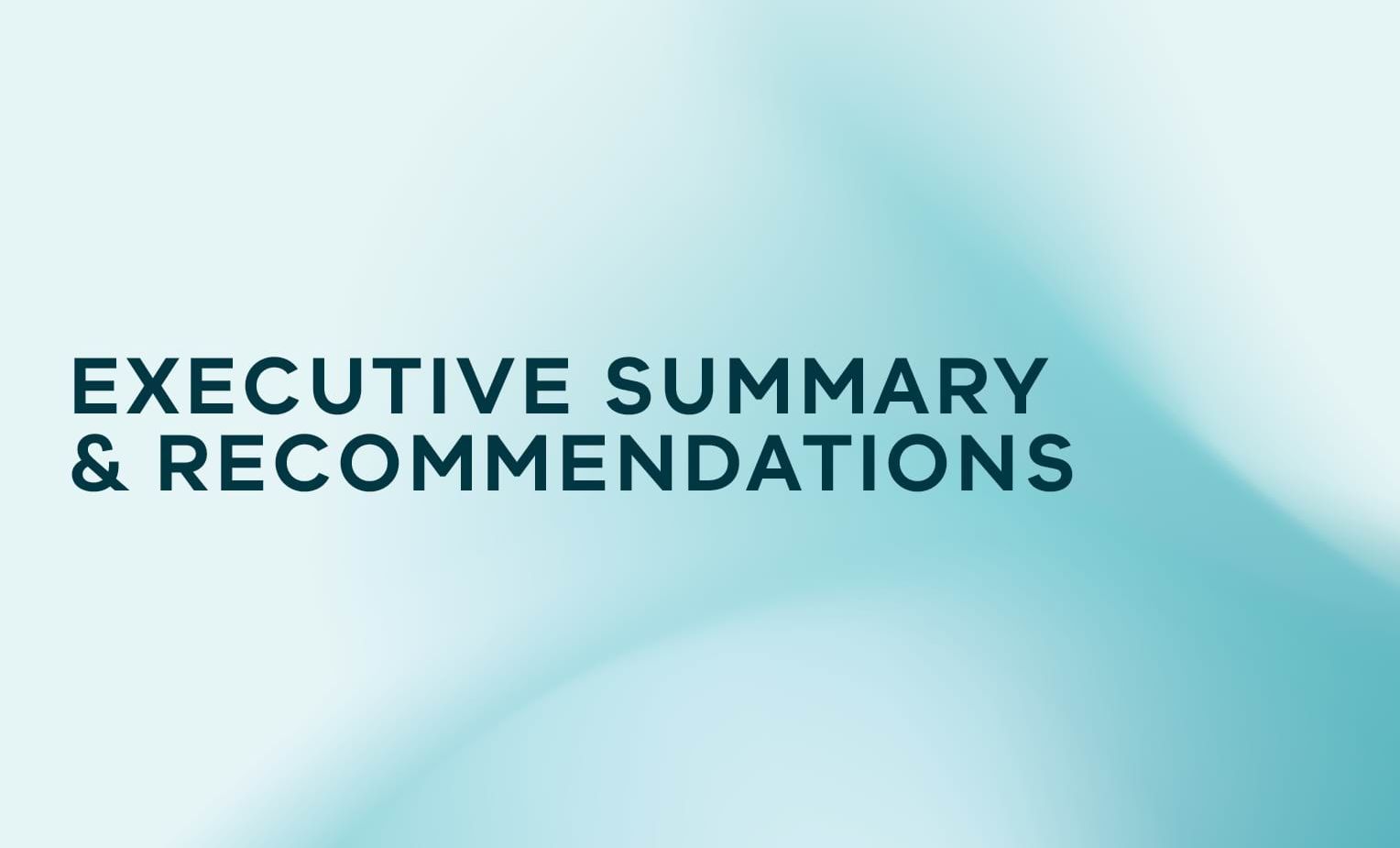 Executive Summary and Recommendations